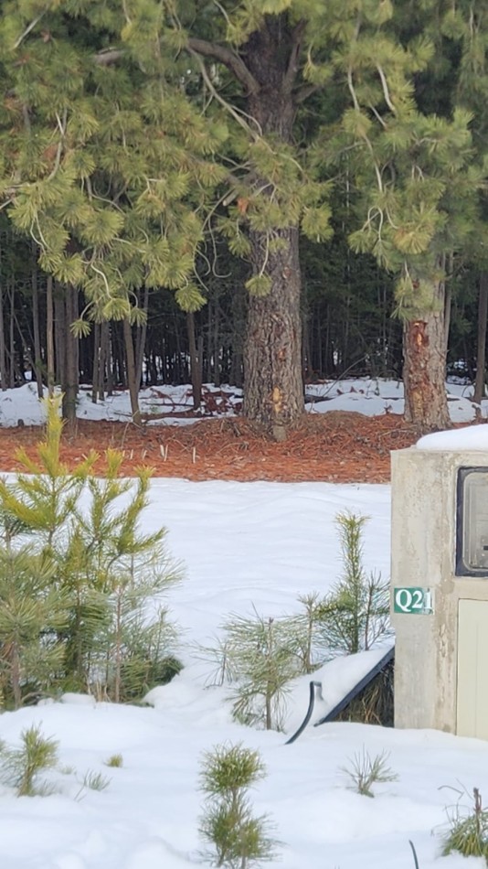 TERRENO EN VENTA Dos Valles Club de Campo · Bariloche · Patagonia