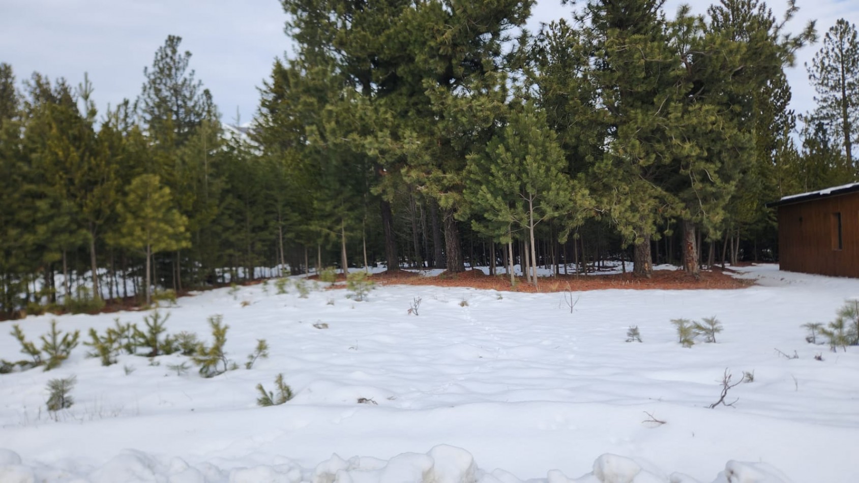 TERRENO EN VENTA Dos Valles Club de Campo · Bariloche · Patagonia